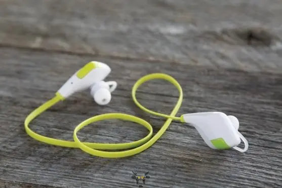 The colorful - Holy Cow Promo Products