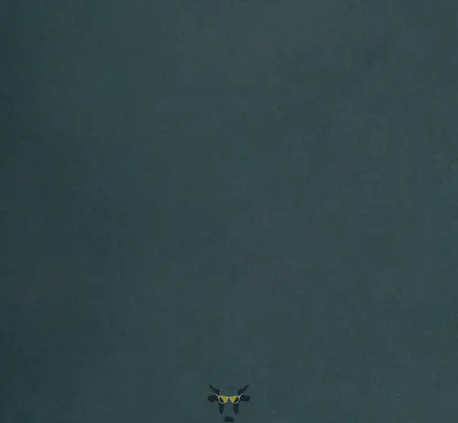 The fishbook - Holy Cow Promo Products