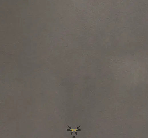 The money clip - Holy Cow Promo Products