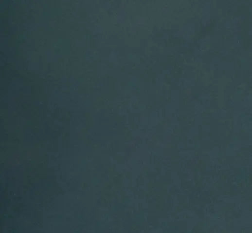 The money clip - Holy Cow Promo Products