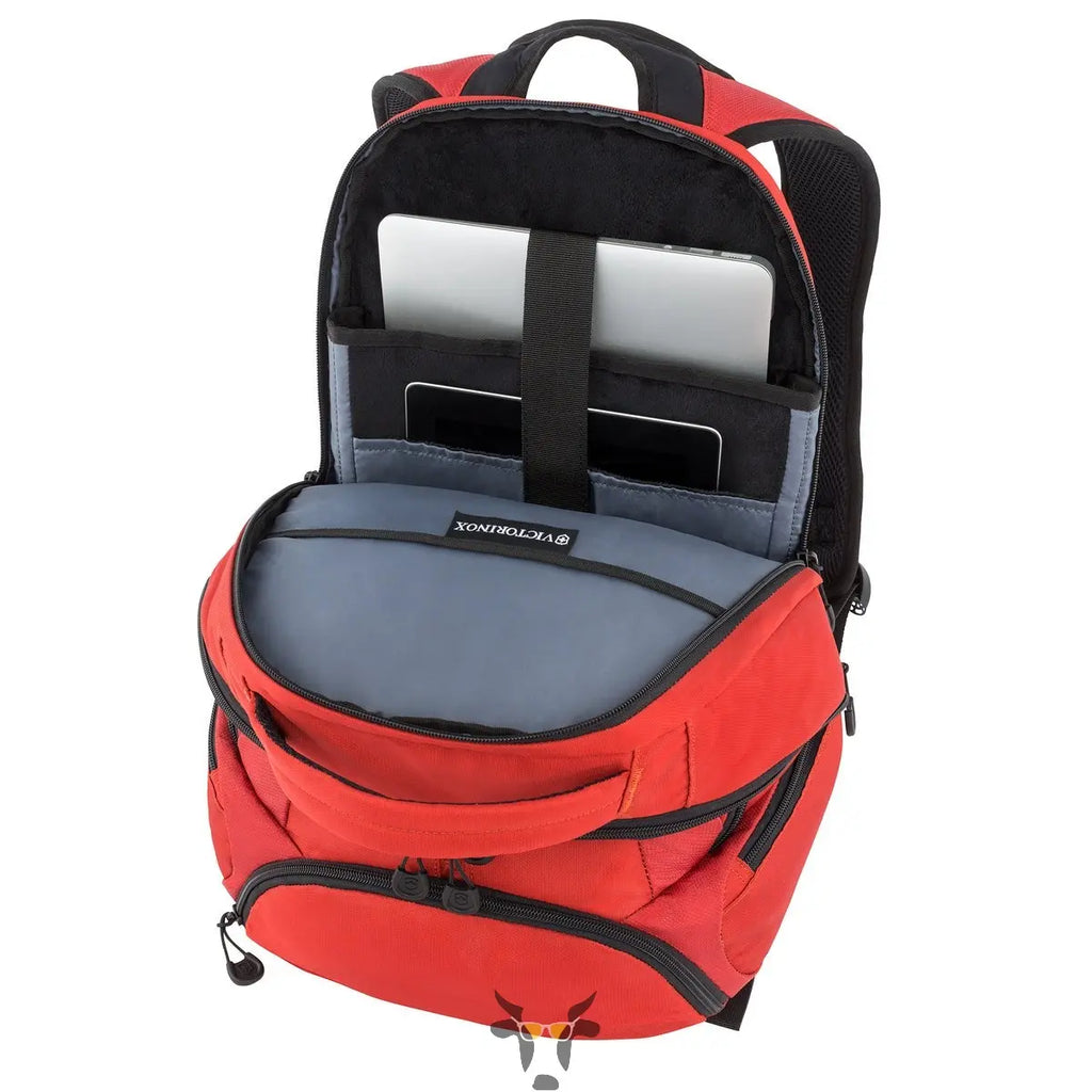 The Scout - Holy Cow Promo Products