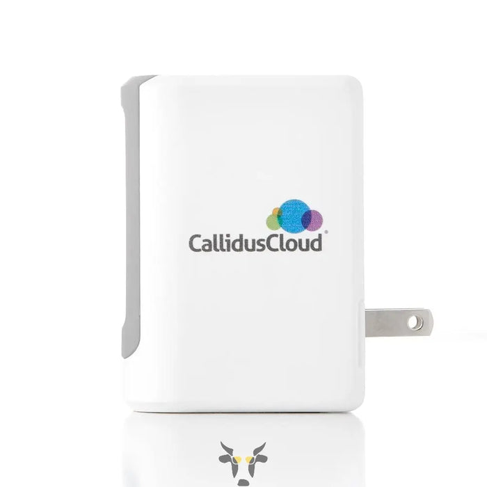 The wall charger - Holy Cow Promo Products