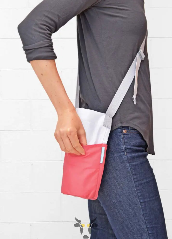 The bottle bag - Holy Cow Promo Products